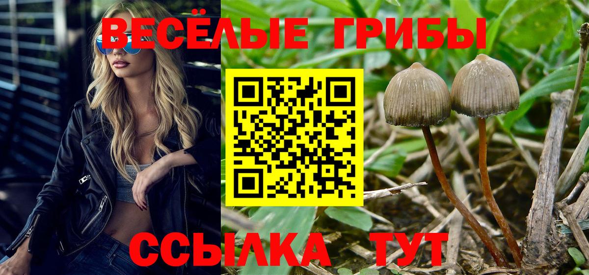 Коркино  Галлюциногенные грибы прущие грибы  Вход с VPN 