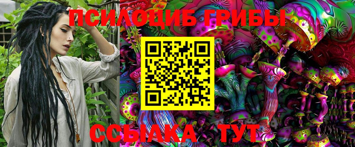 Галлюциногенные грибы Cubensis Коркино